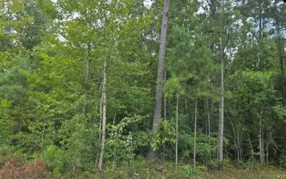 Lot M4 Old Edgefield Road, Ninety Six, SC 29666 - Image #3