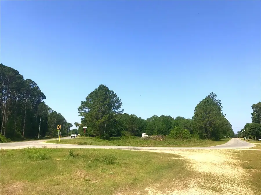 Lot 1,2,3 Rayonier Road, Jesup, GA 31545 - Image #2