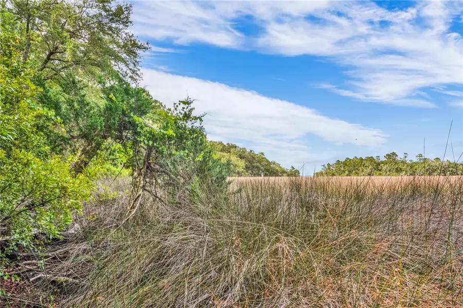 LOT 6 Tranquility Retreat Lane, Townsend, GA 31331 - Image #3