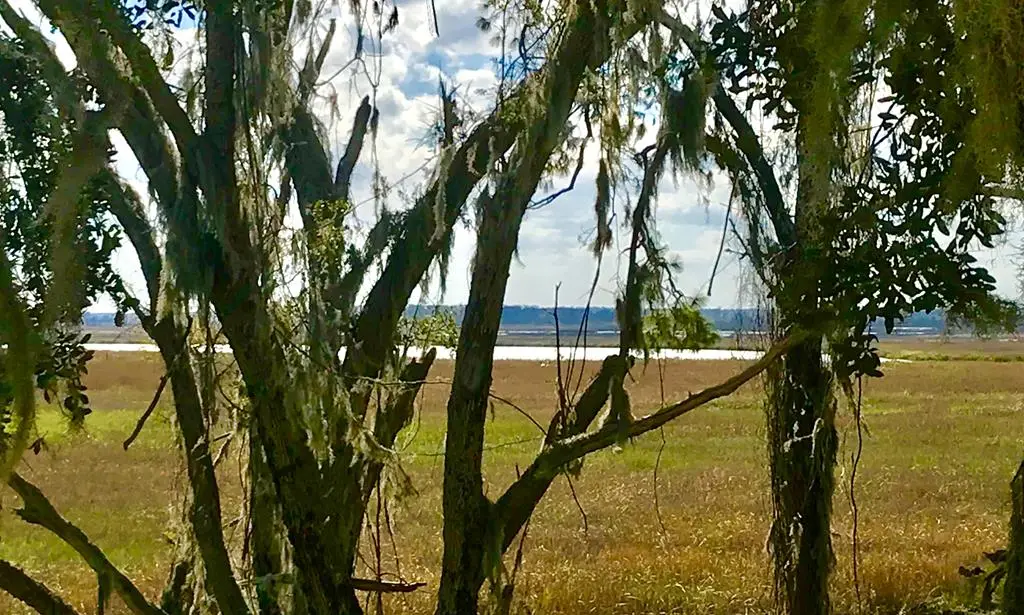 Lot 4 Fort King George, Darien, GA 31305 - Image #1