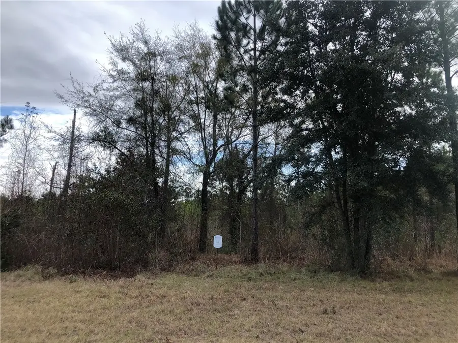 383 Salt Creek Way E, Brunswick, GA 31523 - #2