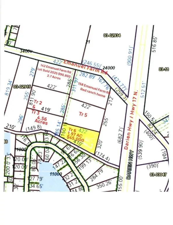 TR 6 Emanuel Farm Road, Brunswick, GA 31525