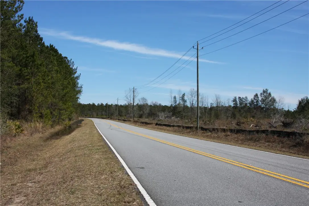 0 SW King Swamp Road Sw, Townsend, GA 31331 - Image #1