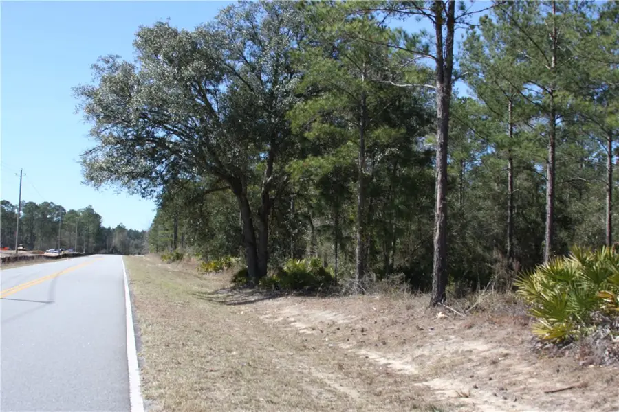 0 SW King Swamp Road Sw, Townsend, GA 31331 - Image #2