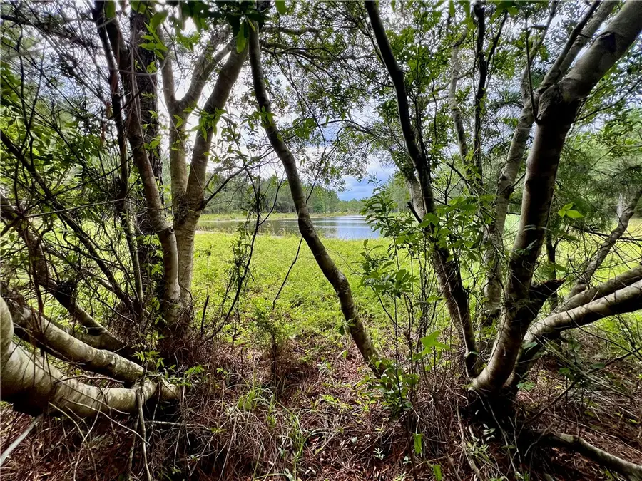 468 Nautical Mile, Waverly, GA 31565 - Image #2