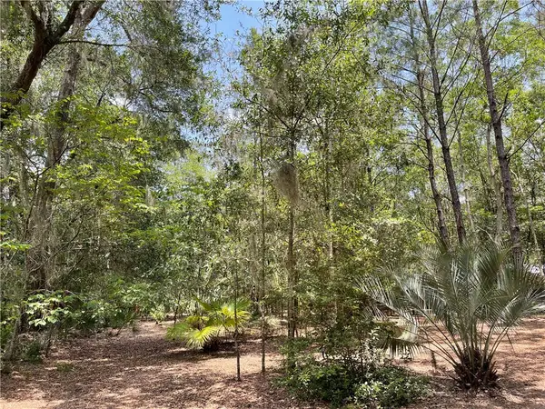 0 Alexander Street, St Marys, GA 31558