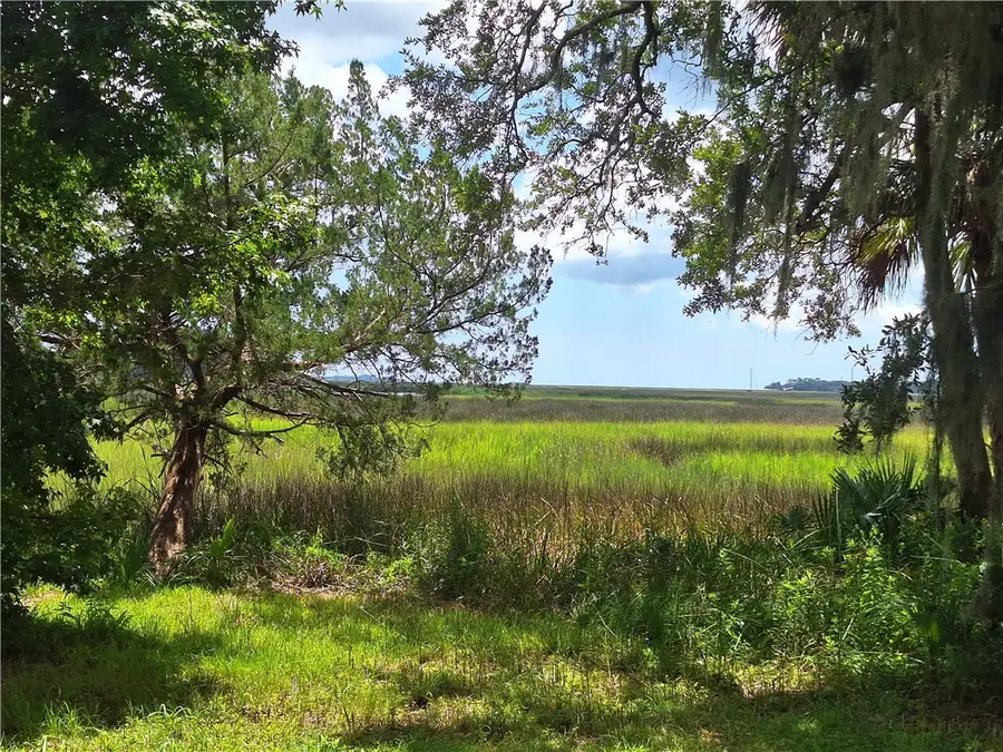 0 Hwy 99 Highway, Darien, GA 31305 - #2