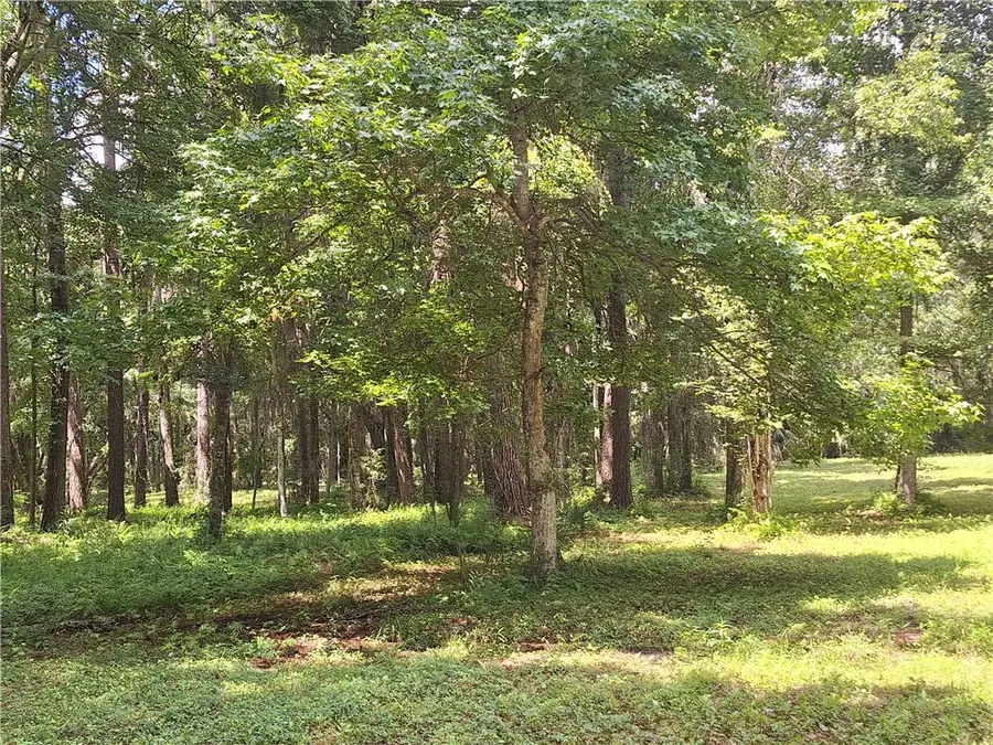 0 Hwy 99 Highway, Darien, GA 31305 - #3