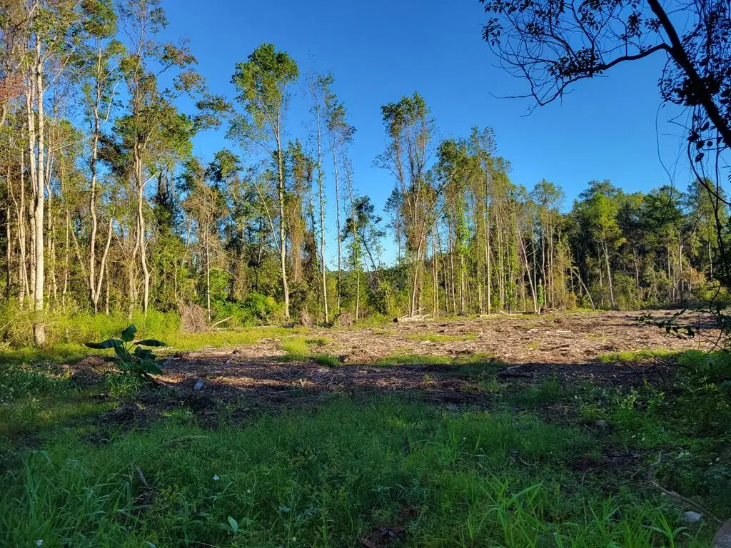 0 Ash Drive, Waycross, GA 31501 - Image #1