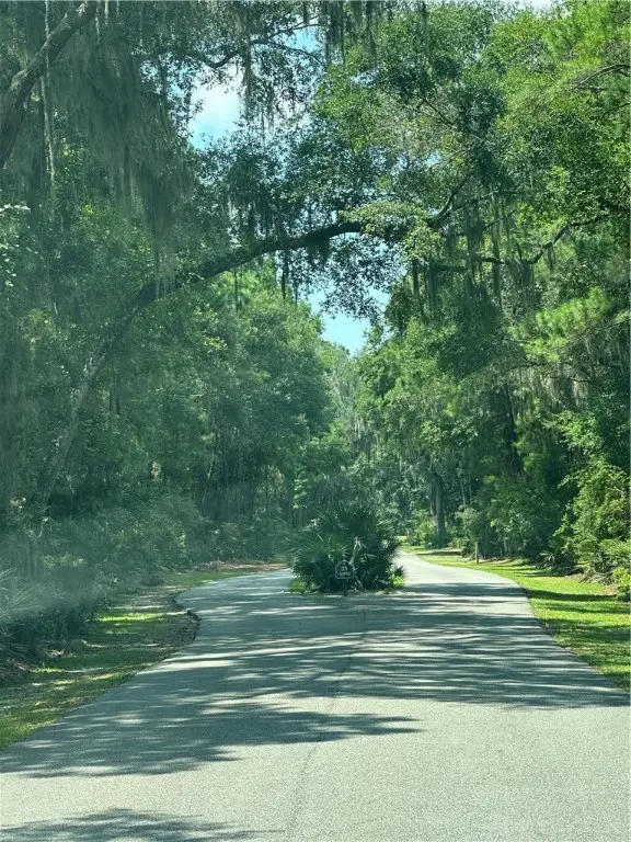 Lot 45 Delegal Drive Ne, Townsend, GA 31331 - Image #2