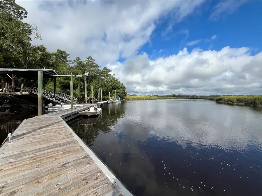 LOT 5 Black Island, Darien, GA 31305 - Image #3