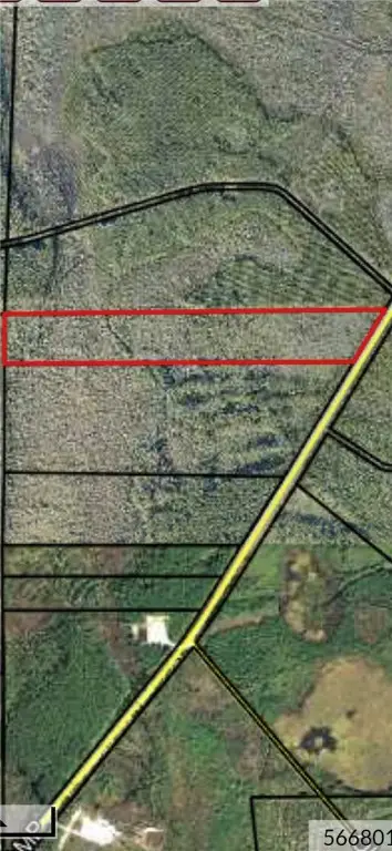 0 Swamp Road, Waycross, GA 31503 - Image #2