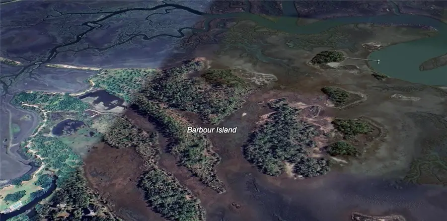 LOT 83 Barbour Island, Townsend, GA 31331 - Image #3