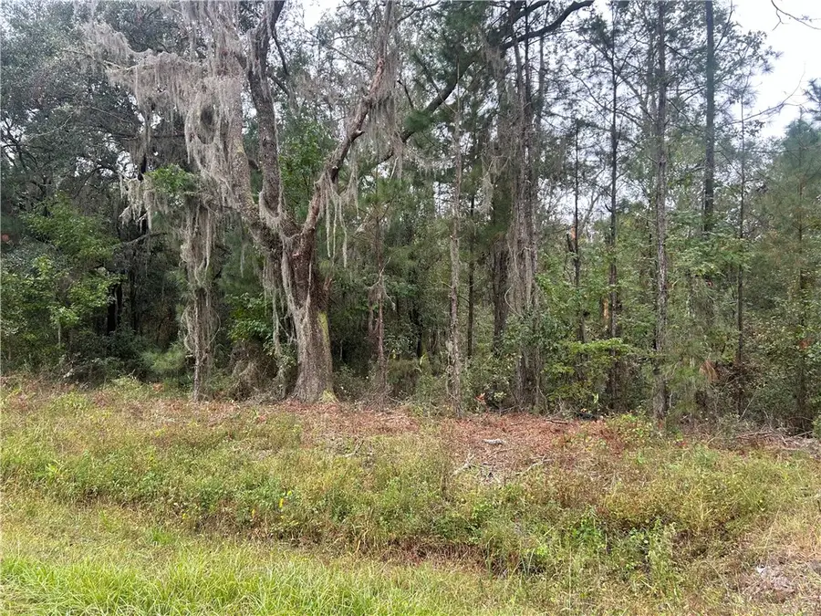 2129 Buck Swamp Road, Brunswick, GA 31523 - Image #2