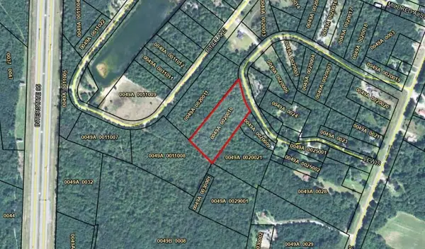 Lot 35 Lewis Lane, Townsend, GA 31331