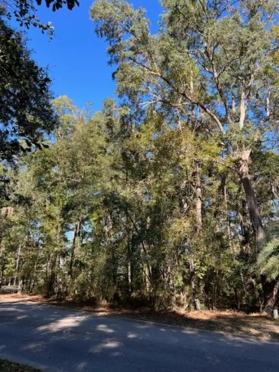 51 Bluffs Landing, Waverly, GA 31565 - Image #2