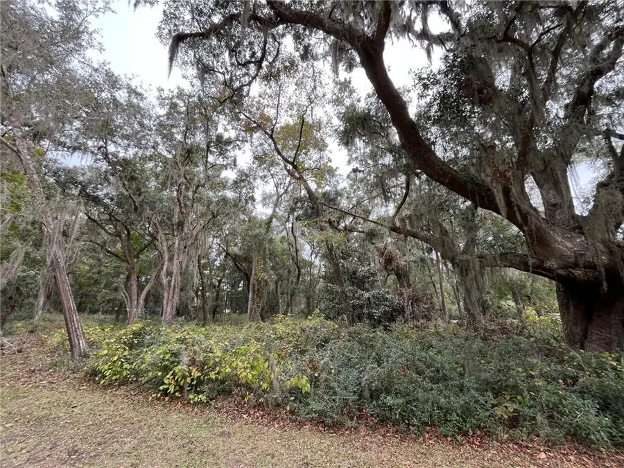 18 Doboy Court, Darien, GA 31305 - #2