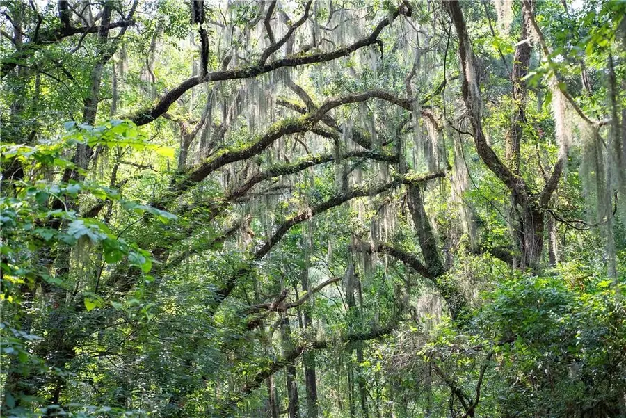 1304 Old Smokey, Crescent, GA 31304 - Image #2