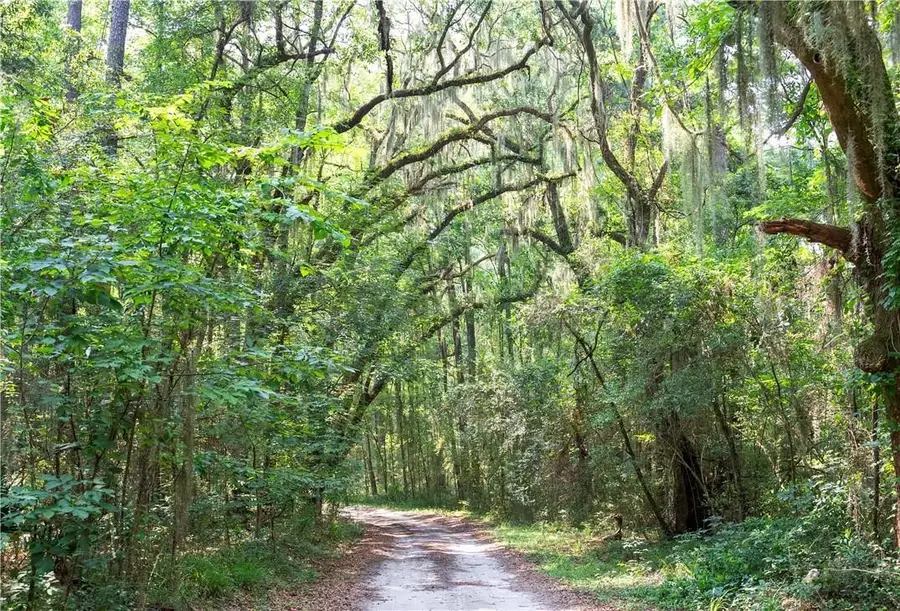 1304 Old Smokey, Crescent, GA 31304 - Image #3