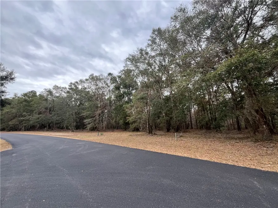 Lot 710 Cooper's Landing Drive Ne, Townsend, GA 31331 - Image #3