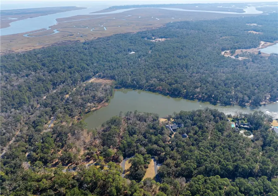 160 Harris Lane, Saint Simons Island, GA 31522 - Image #2