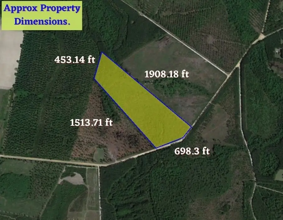 82 W Old 122 Highway, Manor, GA 31550 - Image #3