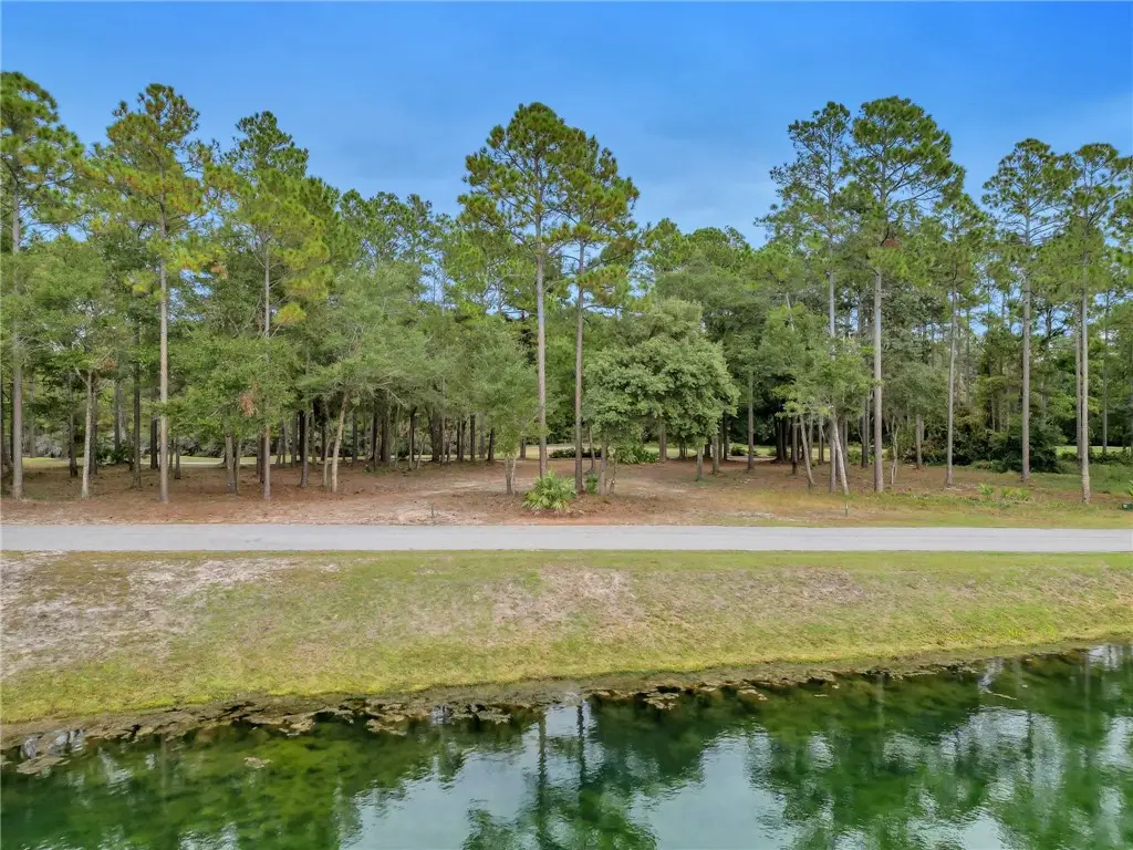 Lot 130 Sapelo Park Drive Ne, Townsend, GA 31331 - Image #1