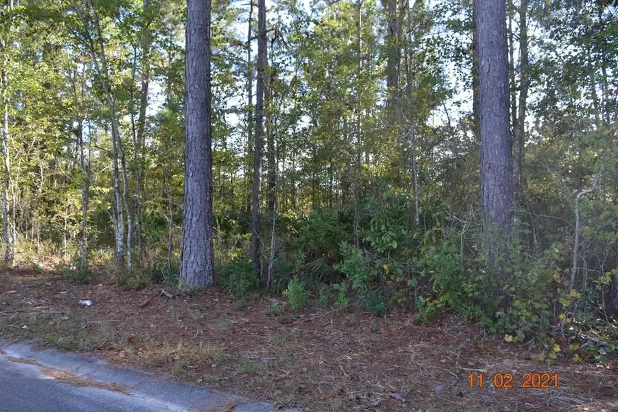 Lot 3 City Blvd Boulevard, Waycross, GA 31501 - Image #3