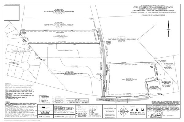 0 V/l W/s Henrietta-3 Acres Street, Kingsland, GA 31548