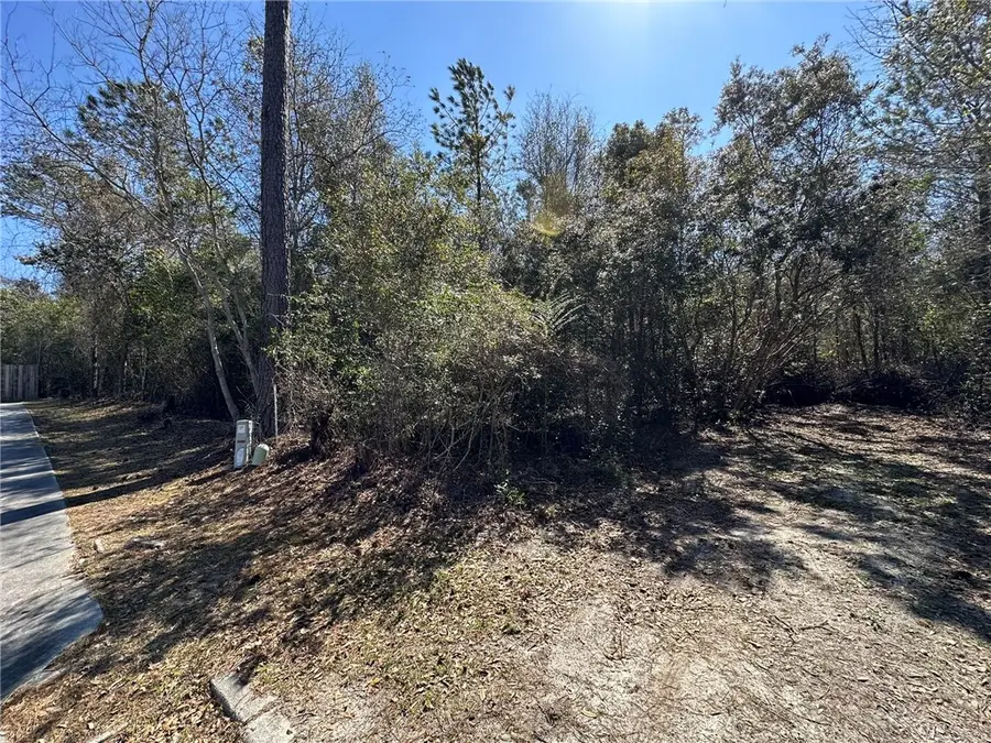 Tract 2,3 Stetson Drive, Waycross, GA 31501 - Image #2