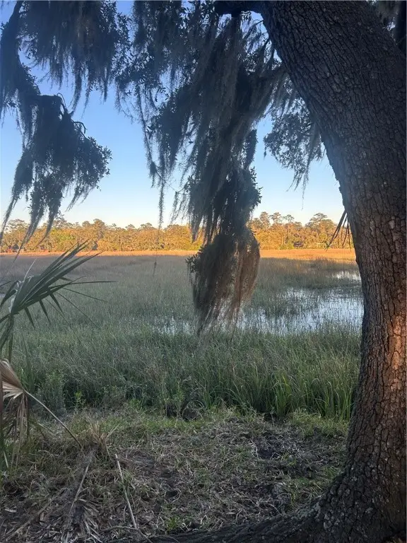 804 Avoca Villa(river Ridge) Road, Brunswick, GA 31523