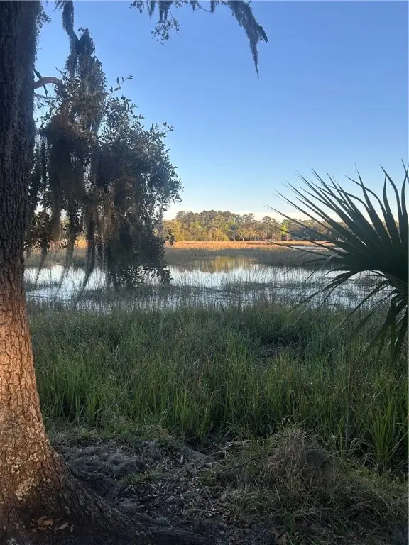 804 Avoca Villa(river Ridge) Road, Brunswick, GA 31523 - Image #2