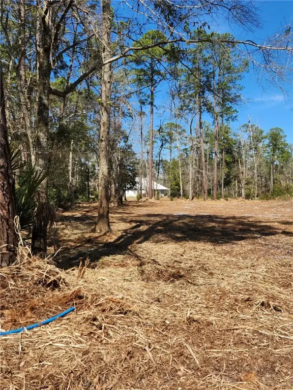 D-20 Turtle Dove Way, Waverly, GA 31565 - Image #2