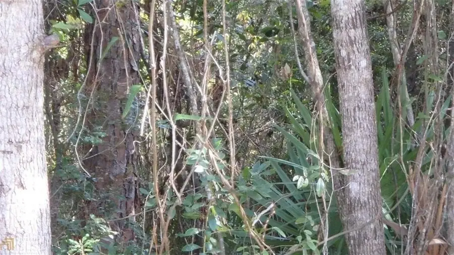 Lot 21 Lighthouse Circle, Woodbine, GA 31569 - Image #3