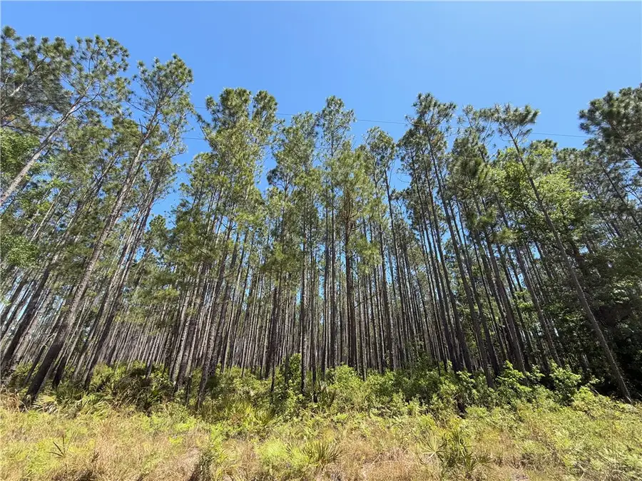 8.84 Strickland Road, Waycross, GA 31503 - Image #2