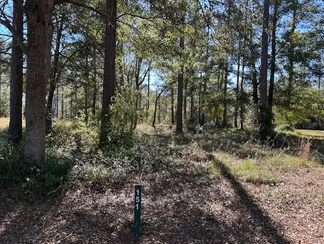 Lot 151 Sapelo Park Dr. Ne Drive, Shellman Bluff, GA 31331 - Image #1
