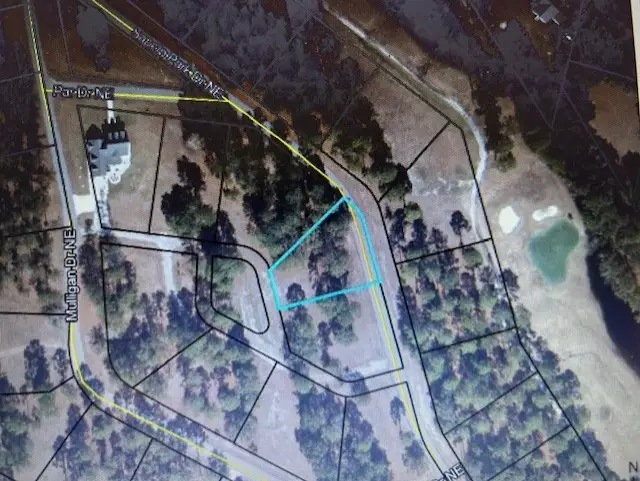 Lot 151 Sapelo Park Dr. Ne Drive, Shellman Bluff, GA 31331 - Image #3
