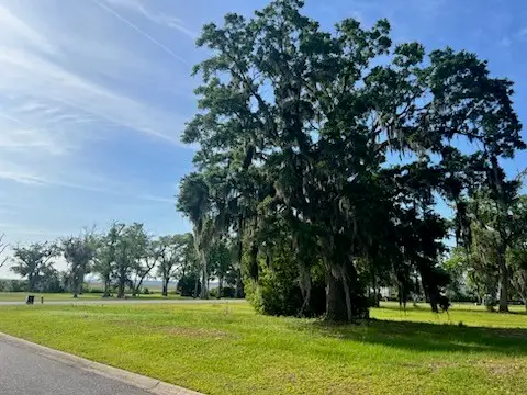 Lot 48 Maiden Creek Drive, Waverly, GA 31565