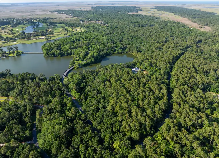 107 Harris Lane, Saint Simons Island, GA 31522 - #3