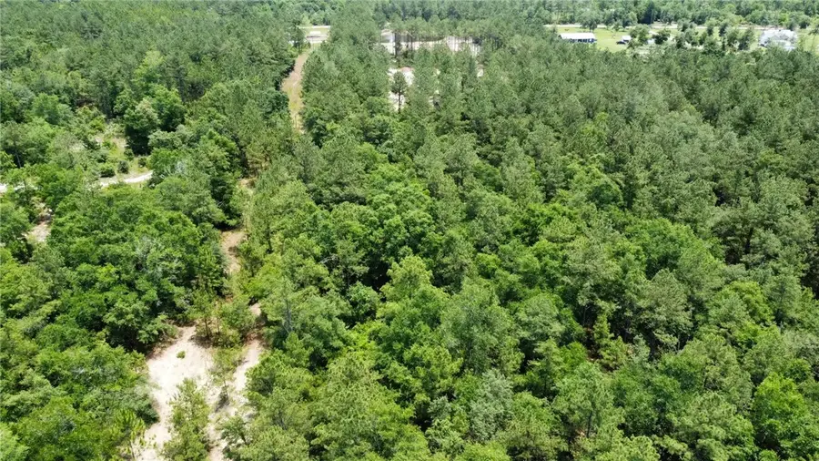 0 Crow Trail Se, Townsend, GA 31331 - Image #2