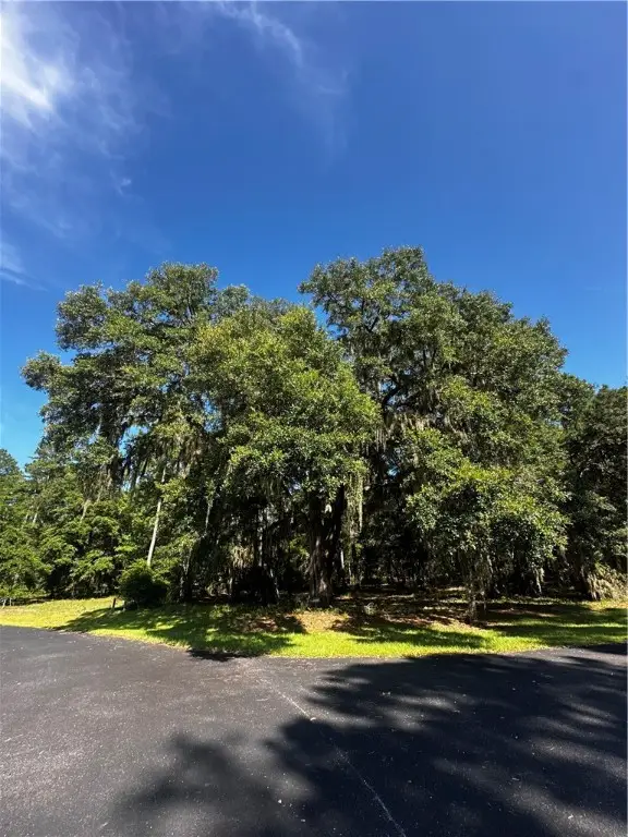 Lot 610 NE Blue Heron Lane, Townsend, GA 31331