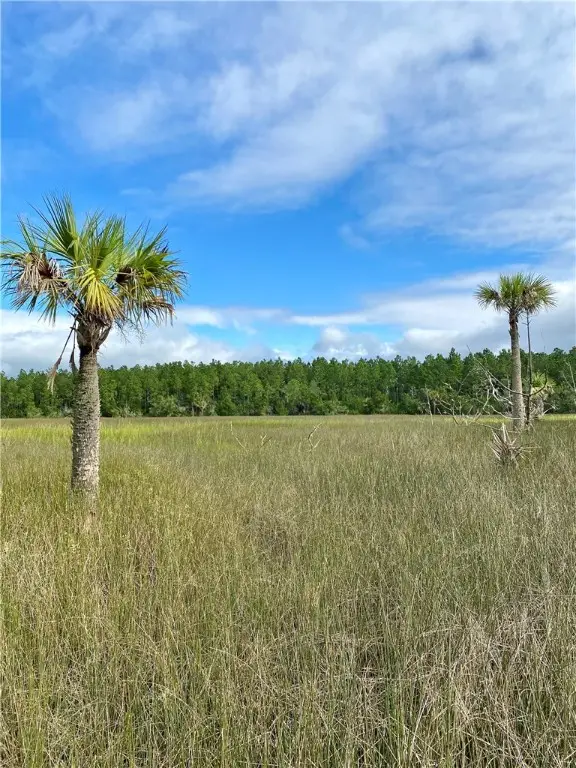 0 Timber Landing Road, Brunswick, GA 31523 - Image #3