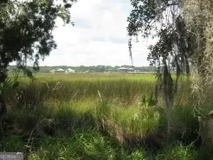 Lot 9 Unit 3 Riverview Drive, Saint Marys, GA 31558 - Image #2