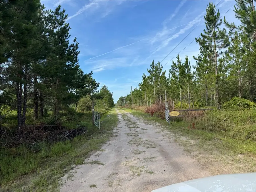 00 Old Post Rd - 10 Acres Road, Woodbine, GA 31569 - Image #2