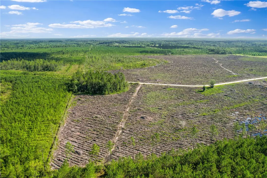 Tract 4 Morris Break Road, Odum, GA 31555 - Image #1