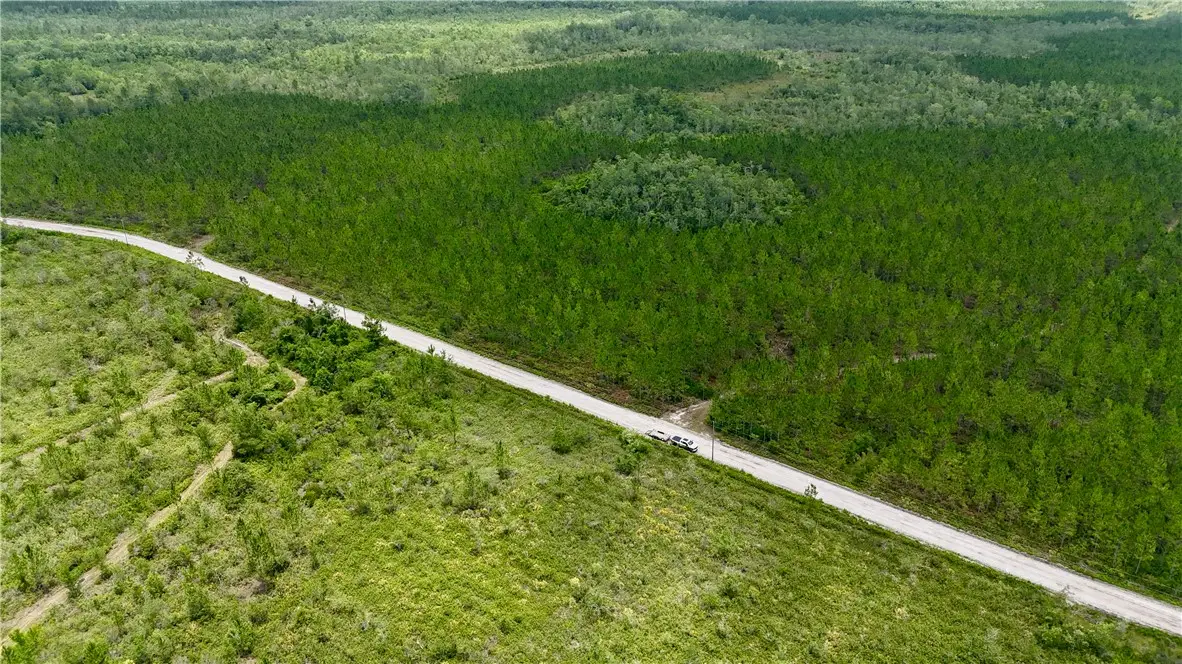 0 Fire Tower Road, Manor, GA 31550 - Image #1