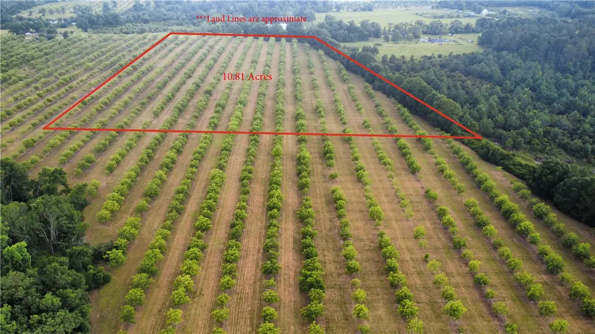 00 Sweat Road, Alma, GA 31510 - Image #1