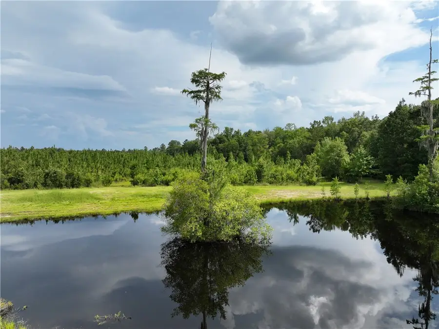 0 Rogers Break Road, Jesup, GA 31546 - Image #2