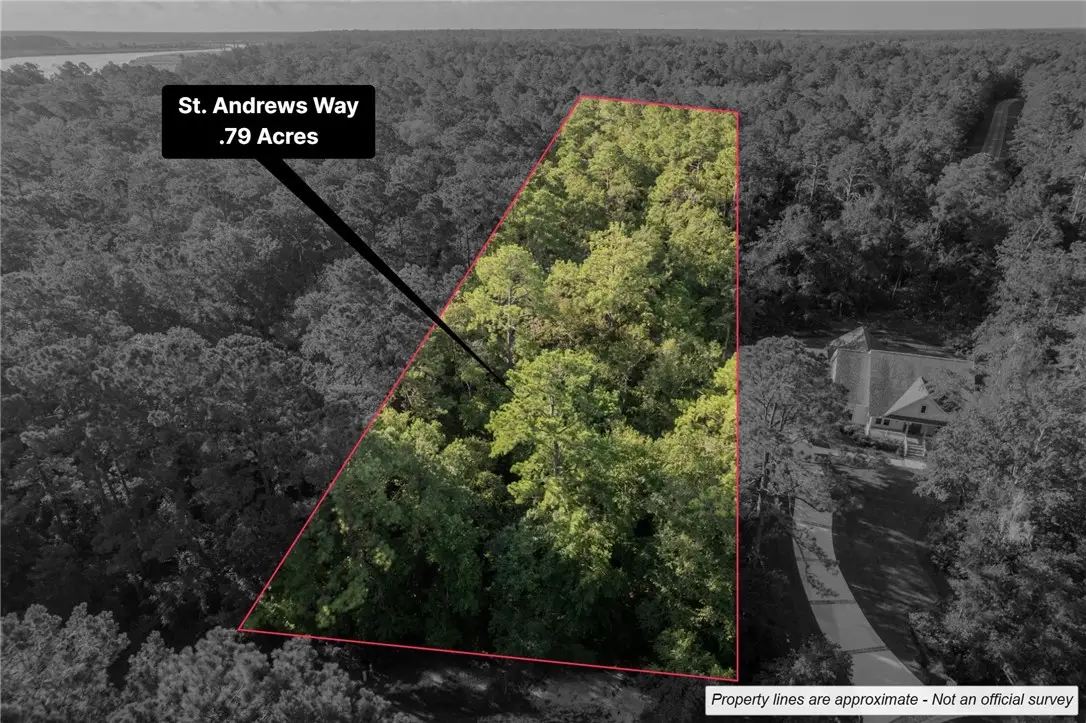 Lot 2 St Andrews Way, Woodbine, GA 31569 - #1