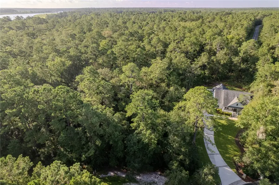 Lot 2 St Andrews Way, Woodbine, GA 31569 - #2